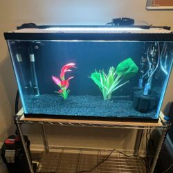 29 Gallon Complete Aquarium