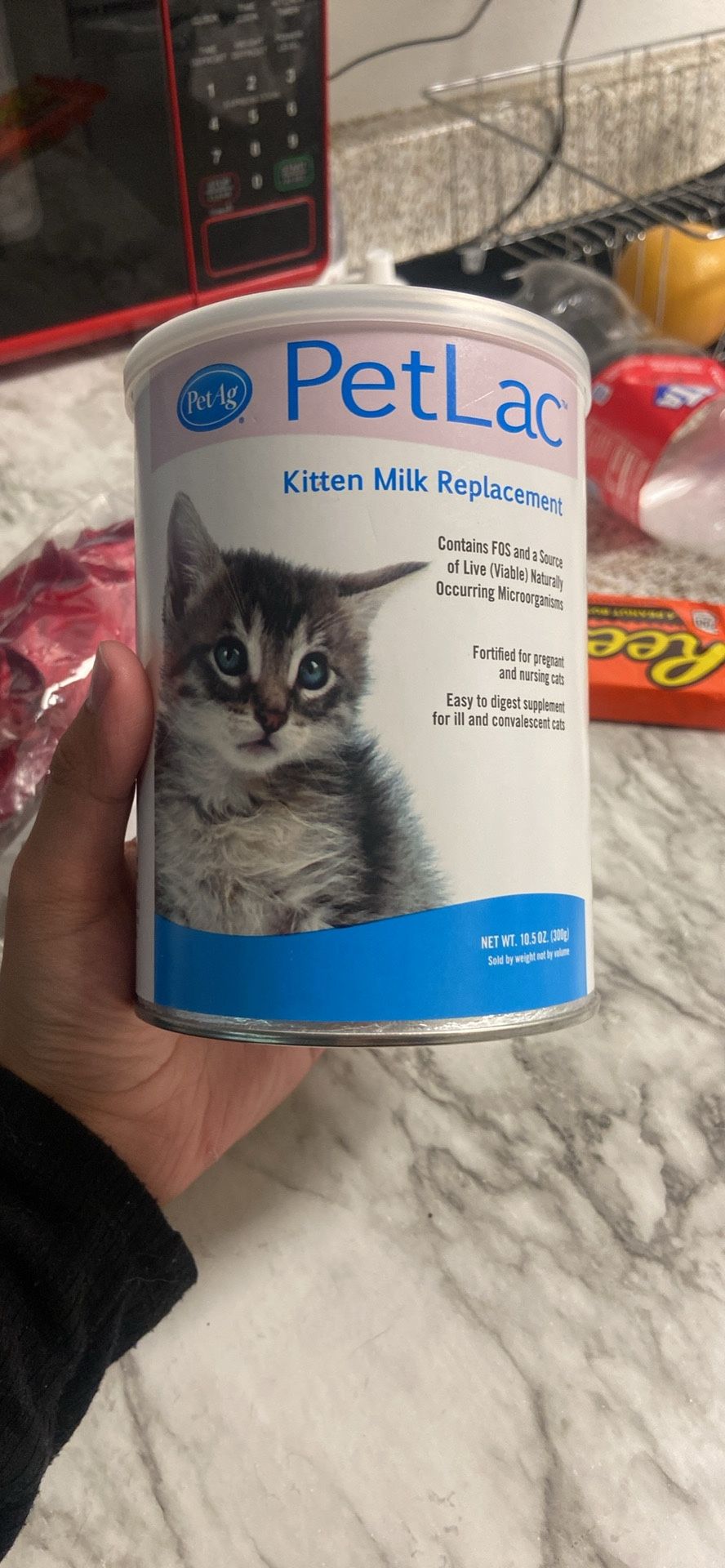 Kitten Milk