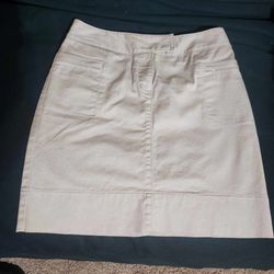 Anne Taylor Loft Ladies Skirt (Size 4)