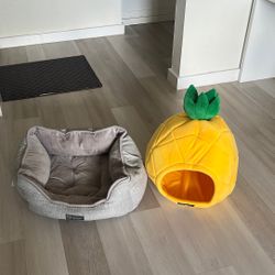 Dog Bed 