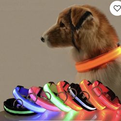 Collares Led Para Mascotas.