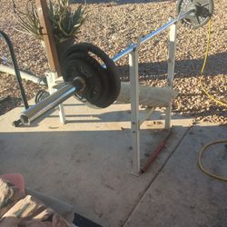 A Bench With Weights (FIRM ON PRICE)