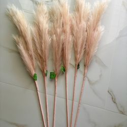 Pampas 
