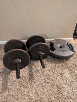 2 x Dumbbells Weights 10lb & 8lb plates