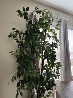 Tree decoration