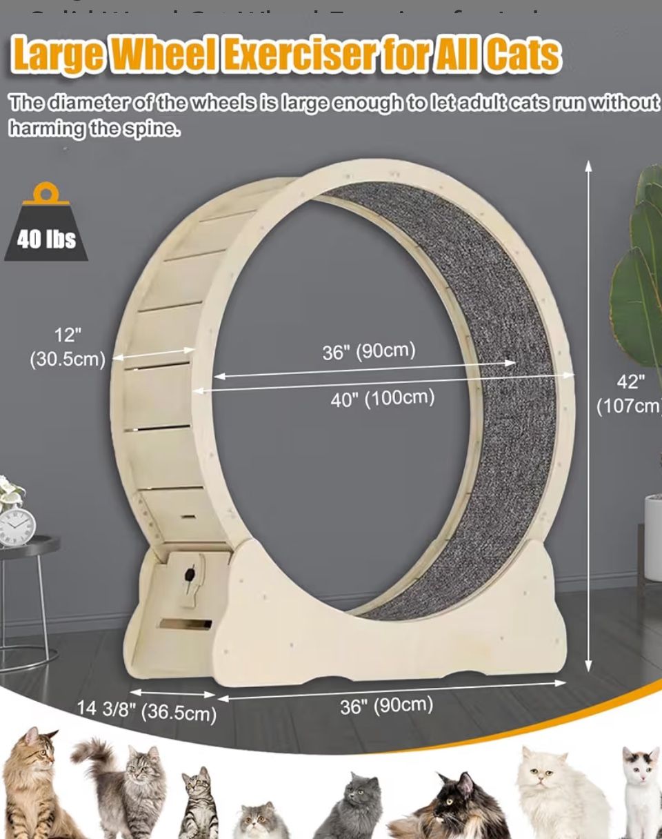 Cat Exercise Wheel
