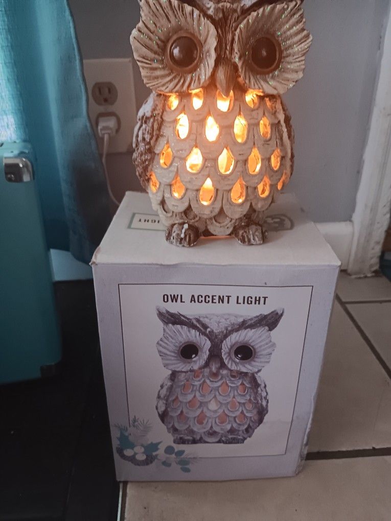 Owl Accent Light New Condition Sears Serious inquires only