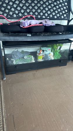 40 gallon tank for reptiles