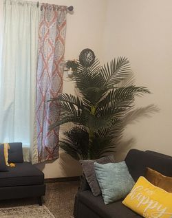 Tall 5 ft. Realistic decorative plant