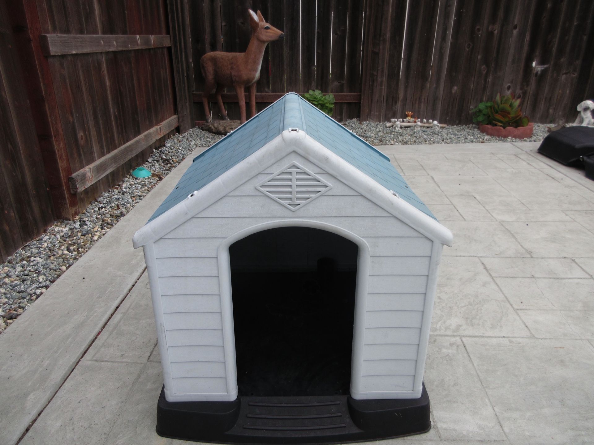 Dog House 