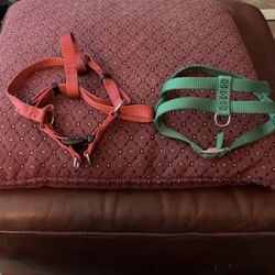 Dog Harness 