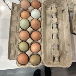 EGGS!!!EGGS!!!! Farm Fresh Organic Eggs