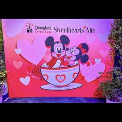 Disneyland Tickets 