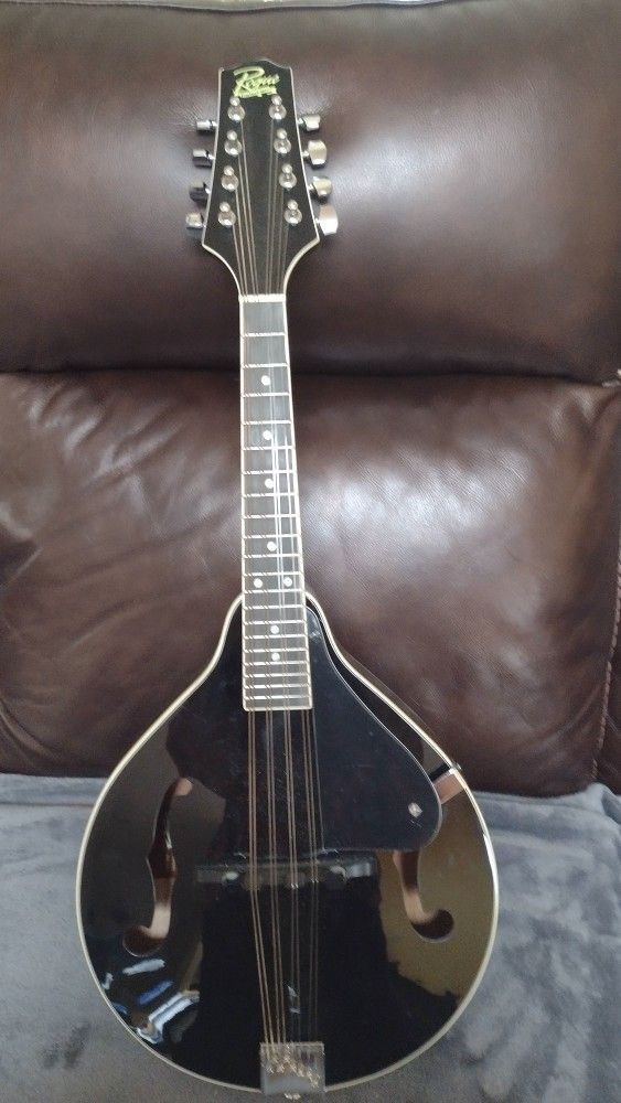Rogue Mandolin