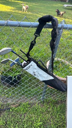 Limited Edition Snoopy Golf Clubs For Kida