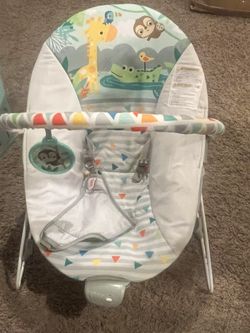 Bright starts Vibrating Bouncer