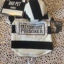 Halloween Pet Costume