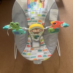 Baby Bouncer