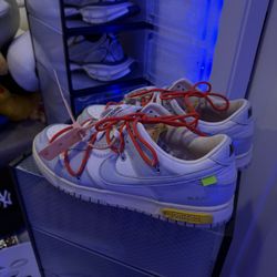 Offwhite nike dunk lot 6