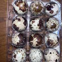 Quail Eggs