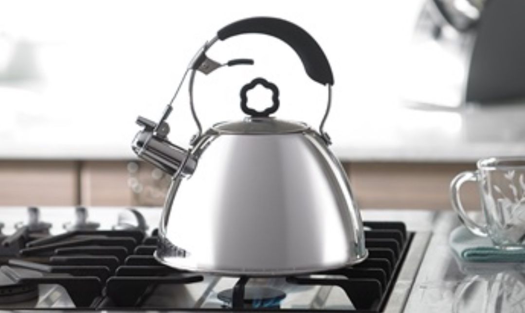 Princess House Electric Kettle (Tetera Eléctrica)