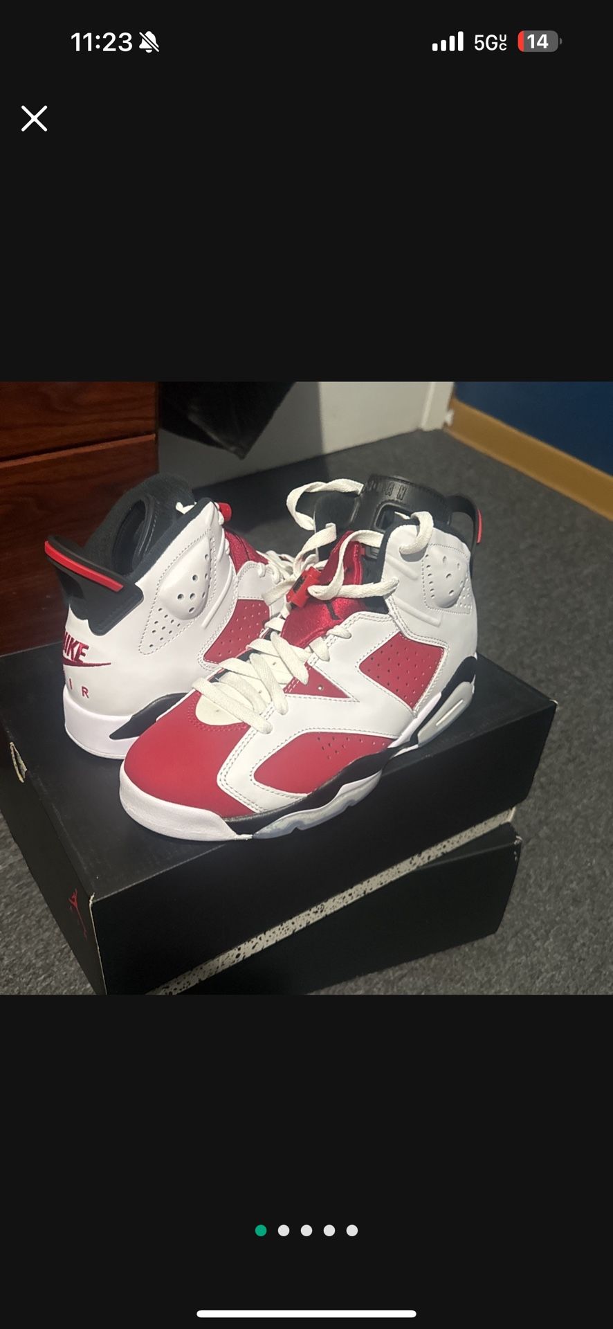 Jordan 6 Carmines