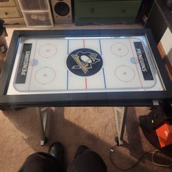 Pittsburgh Penguins Ice Rink Replica