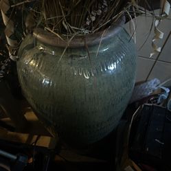 Large Terra-Cotta Pot With Dry Flowers