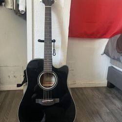 Takamine Series 6 String
