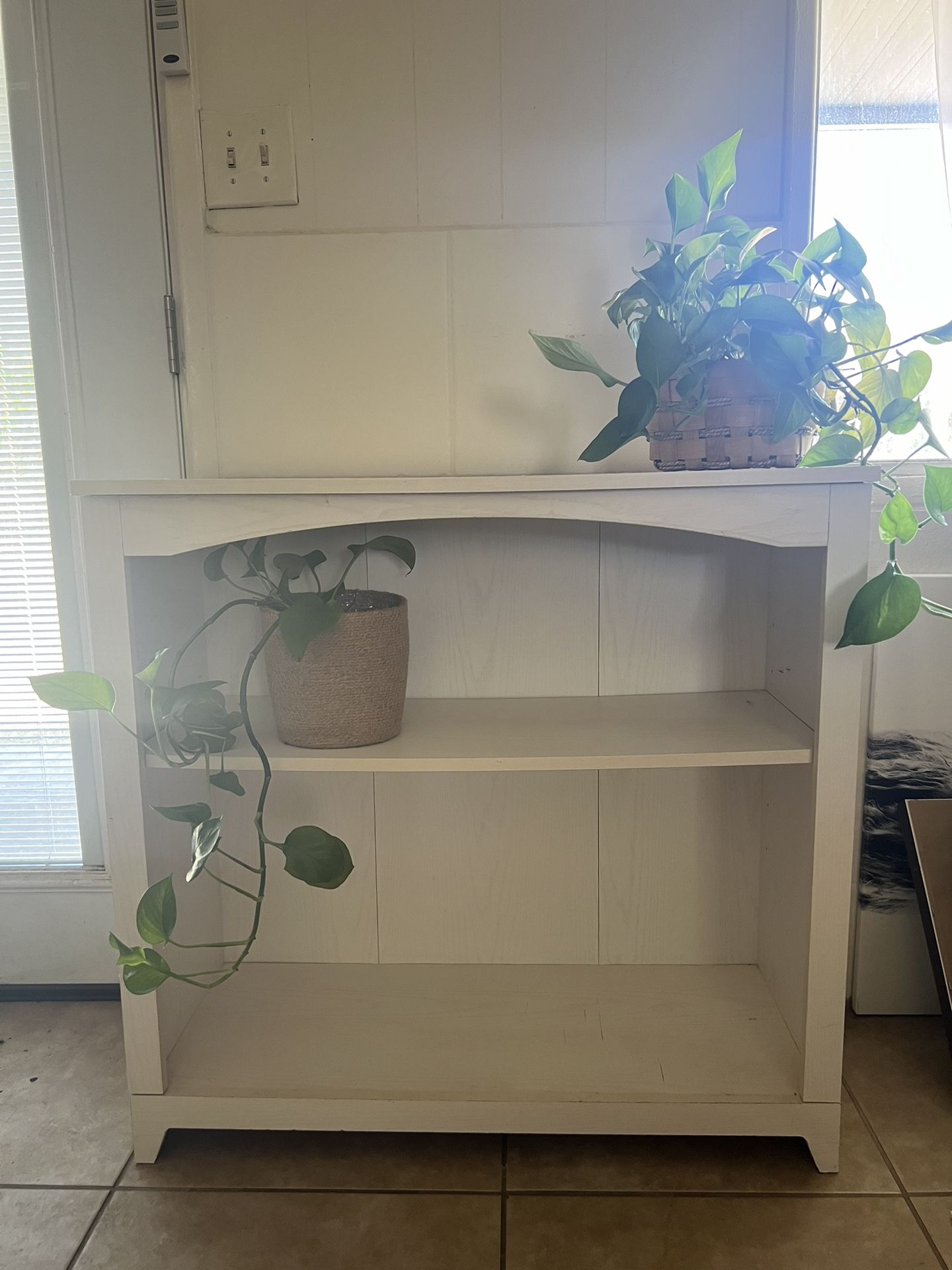 Bookshelf