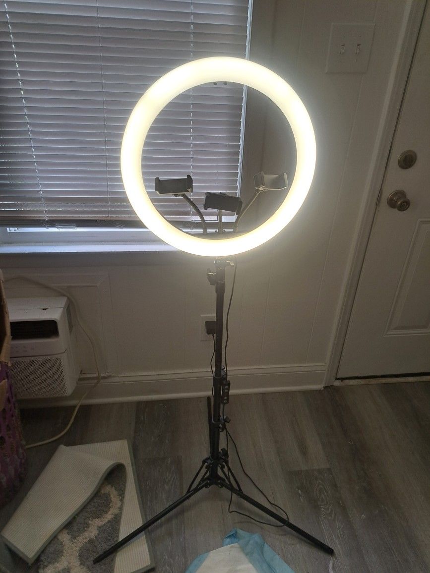 Selfie light