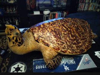 Decorative Turtle