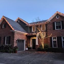 Christmas Lights