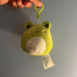 Wendy Clip Squishmallow Frog Spring Collection