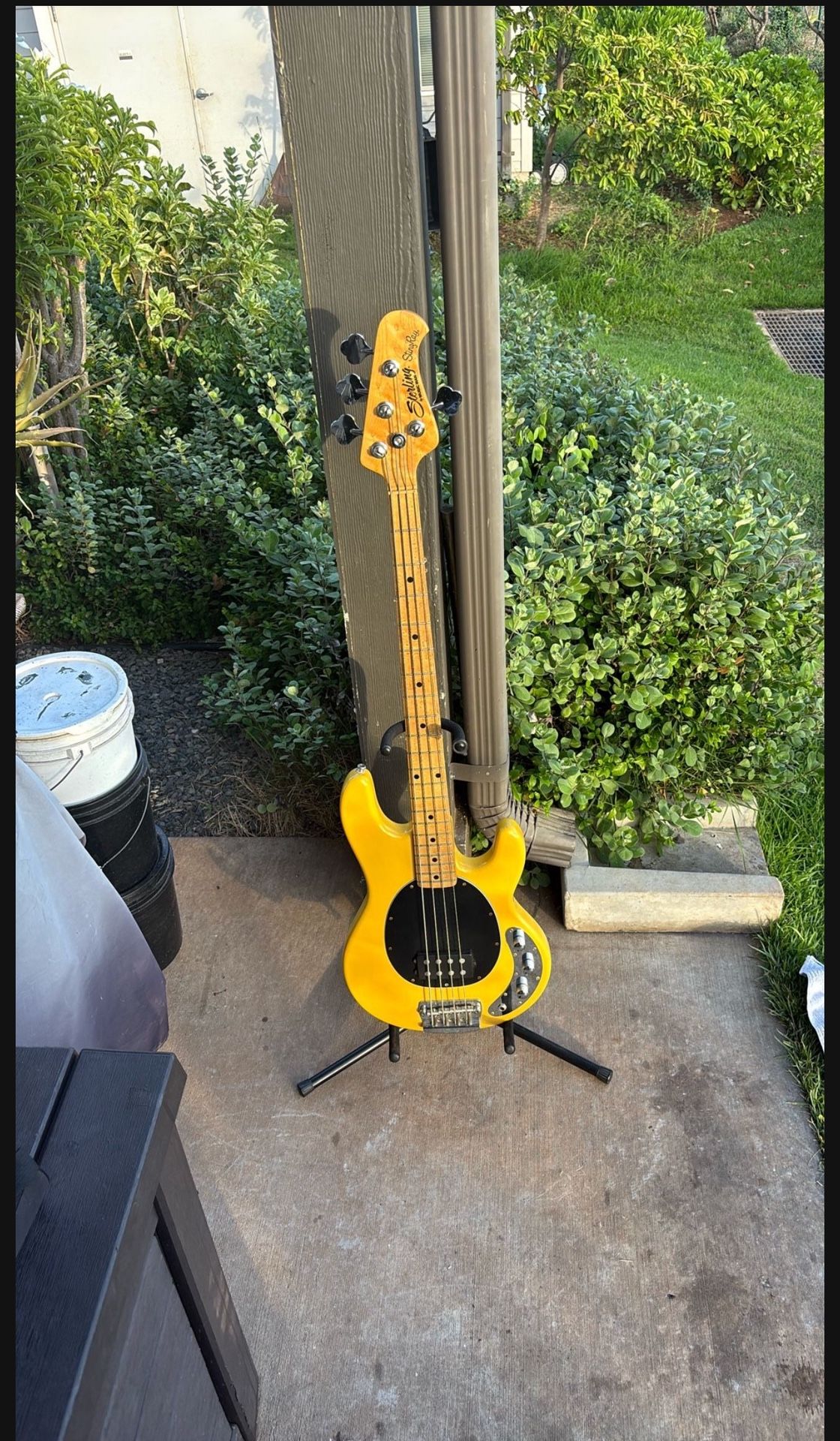 Stingray Music Man Fender Bass