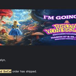 2 Beyond wonderland wristbands SATURDAY GA