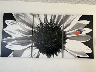 Wall Canvas