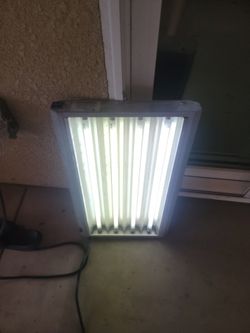Light