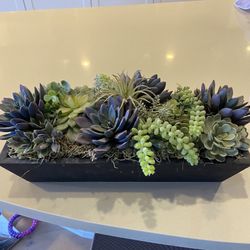 Fake Succulent In Wooden Box 