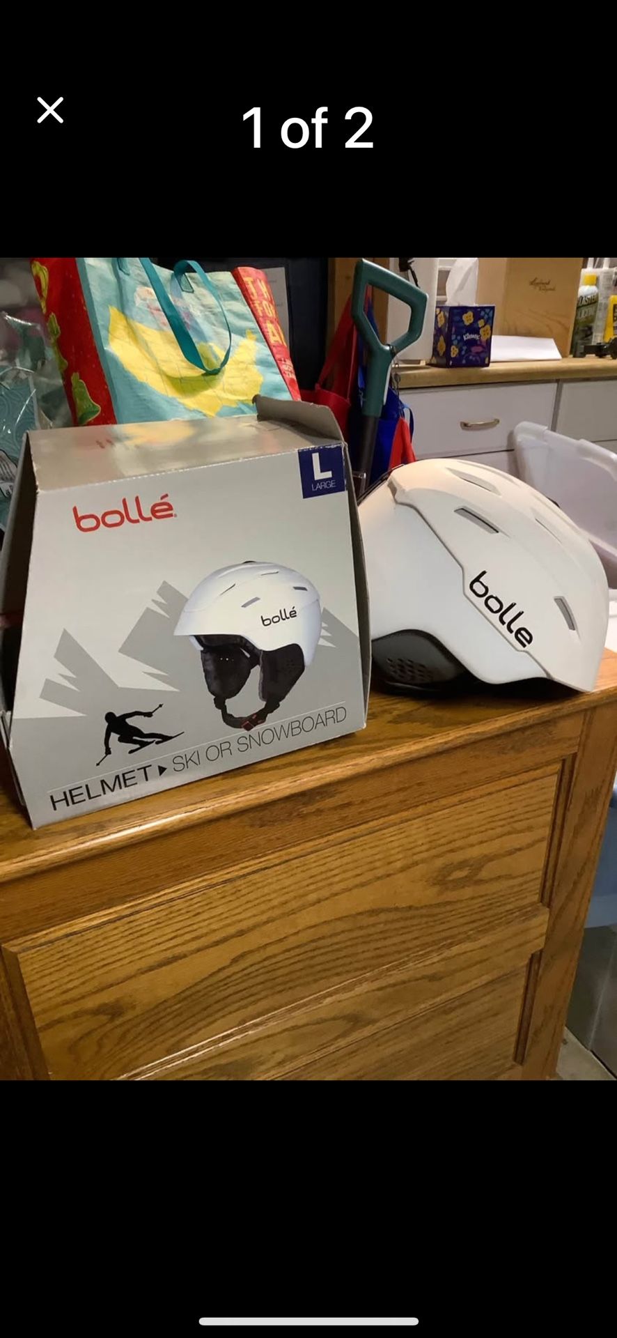 Bolle Ski Helmet
