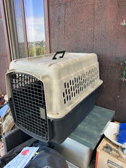 Medium size pet carrier
