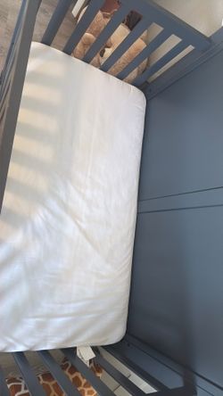 Sealy crib mattress