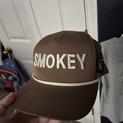 Smokey the bear hat