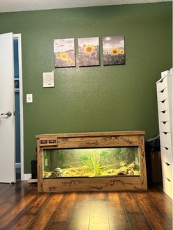 Custom Reptile/Snake Enclosure