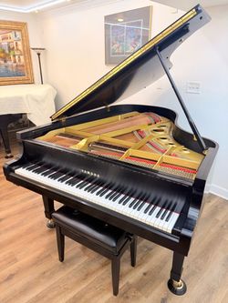 Yamaha C5 Black Grand Piano/ Delivery Available