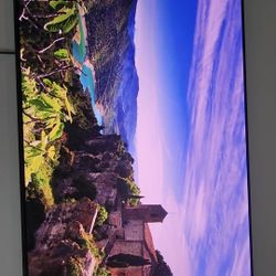 Samsung -55" S90C OLED 4K TV