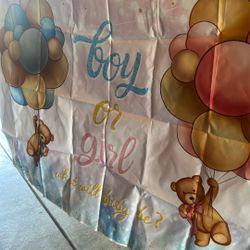 Boy Or Girl Reveal Back Drop 