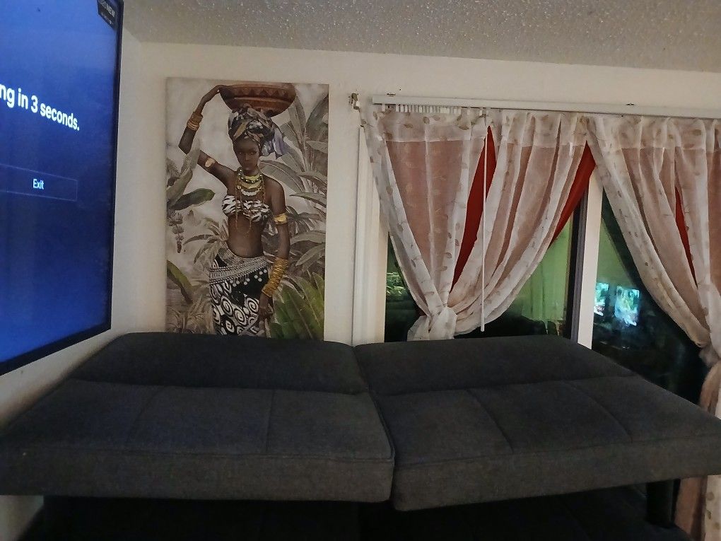 Futon Couch