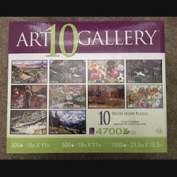 Art Gallery 10 Deluxe Jigsaw Puzzles (300, 500 & 1000 Piece) Box Set with 4700 Total Pieces *Brand New In Open Box* Each Puzzle Is Sealed In Plastic