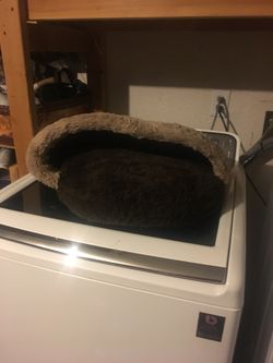Bed for a cat or a small dog